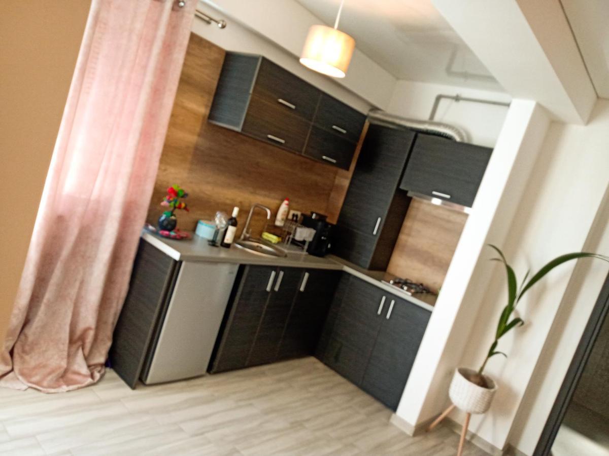Ric Apartament Năvodari Extérieur photo